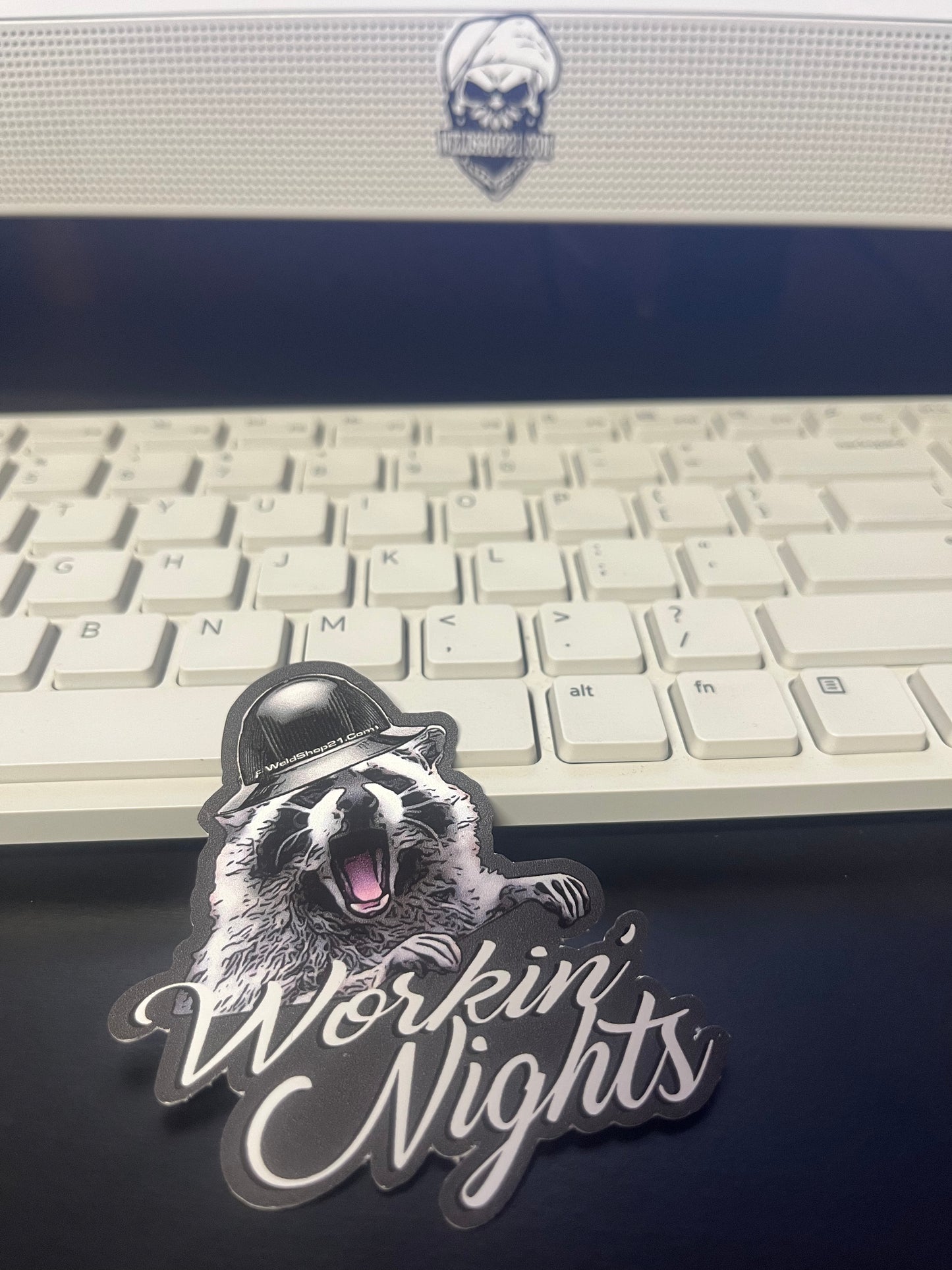 Funny Racoon Sticker